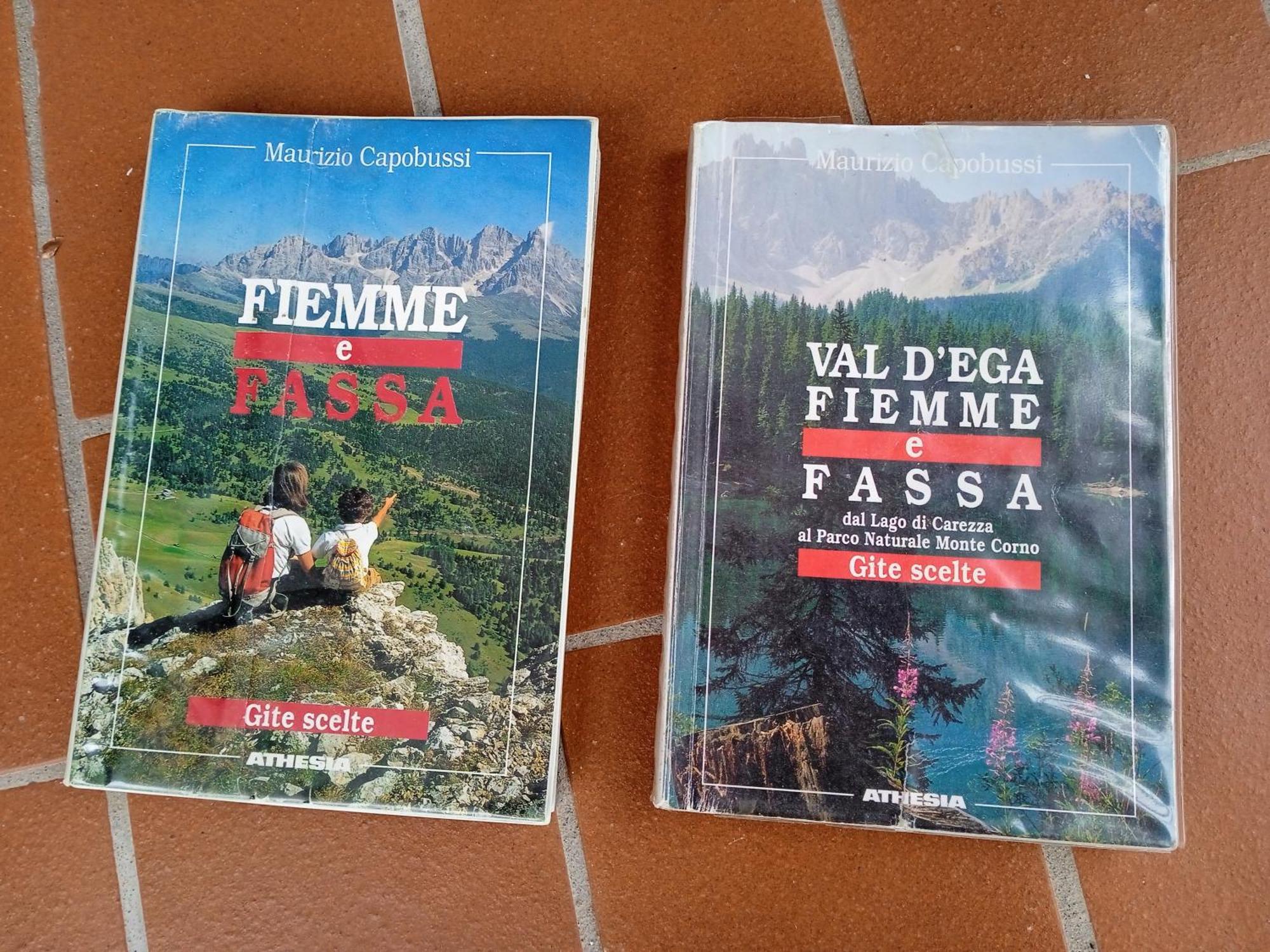 Appartamento Tiziana Val Di Fiemme Carano (Trentino) Exterior foto