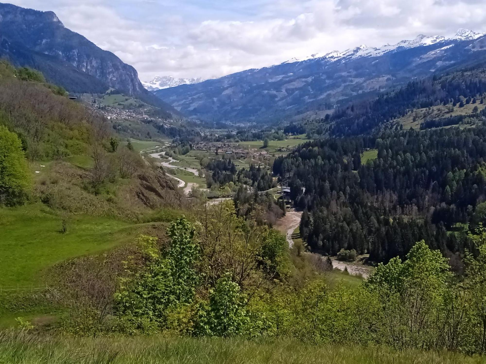 Appartamento Tiziana Val Di Fiemme Carano (Trentino) Exterior foto