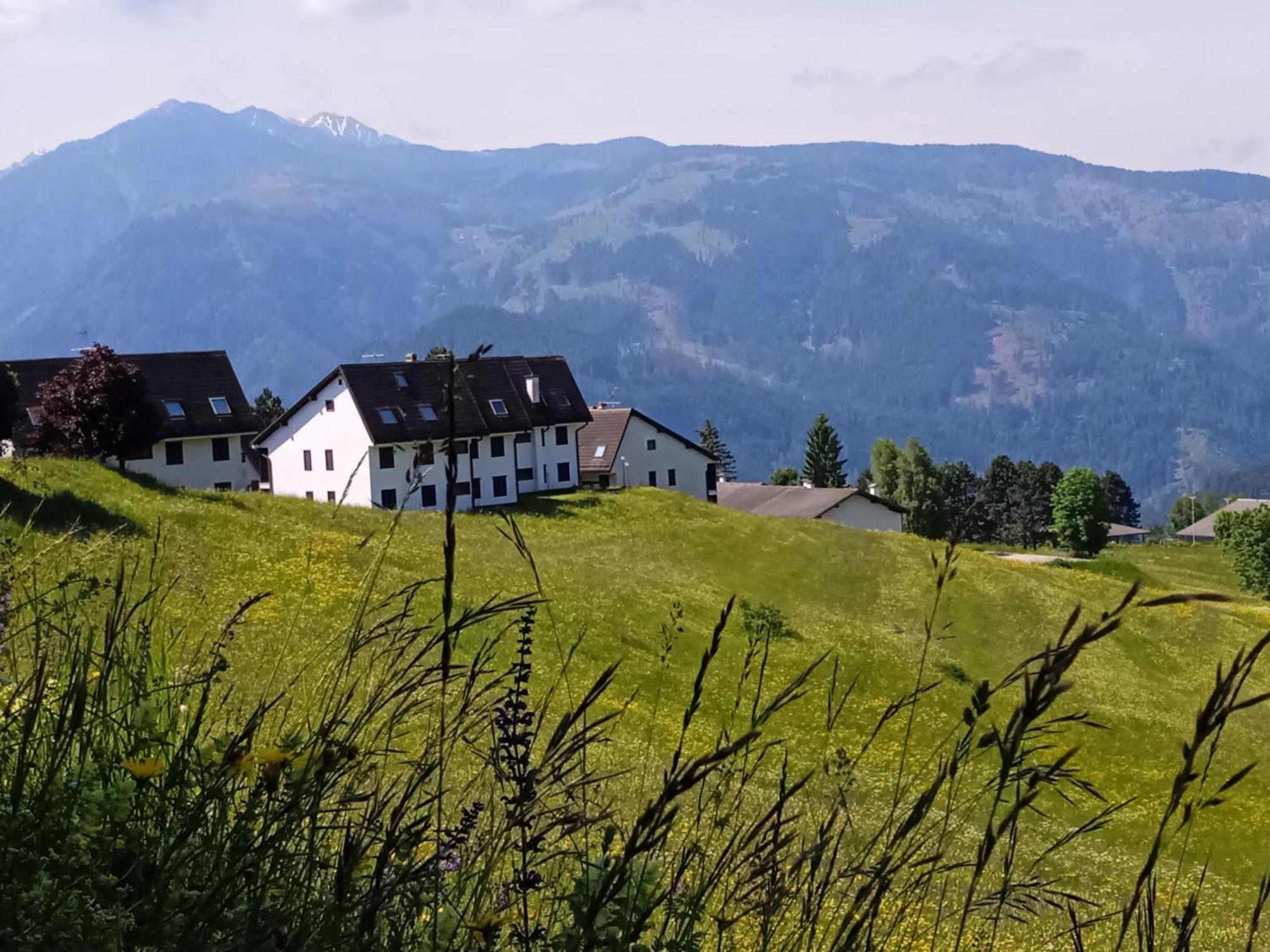 Appartamento Tiziana Val Di Fiemme Carano (Trentino) Exterior foto