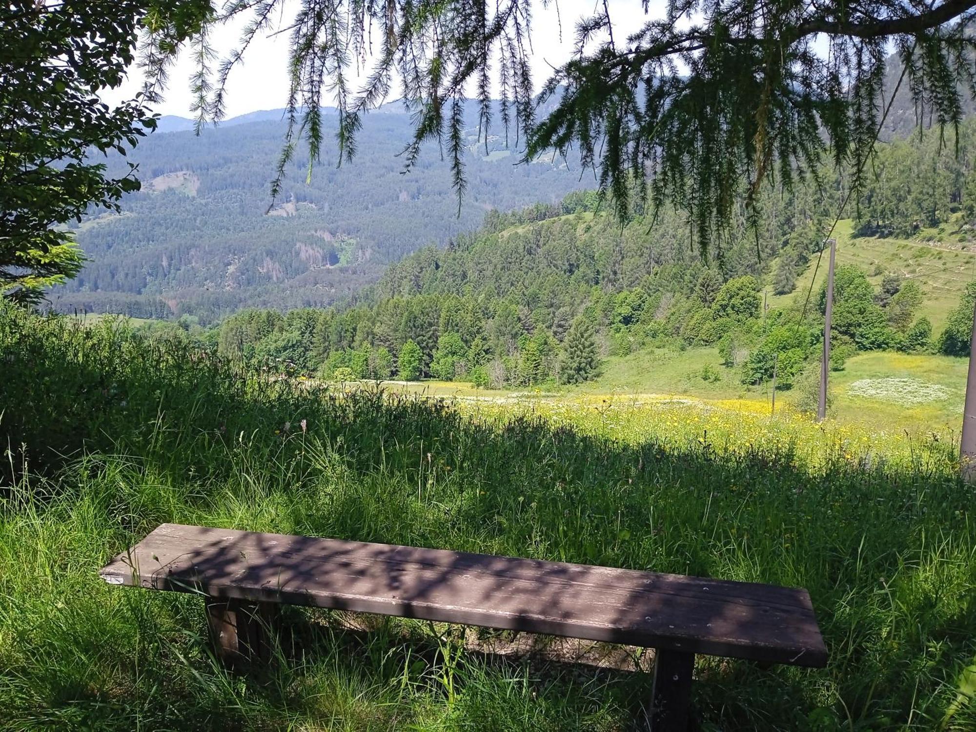 Appartamento Tiziana Val Di Fiemme Carano (Trentino) Exterior foto