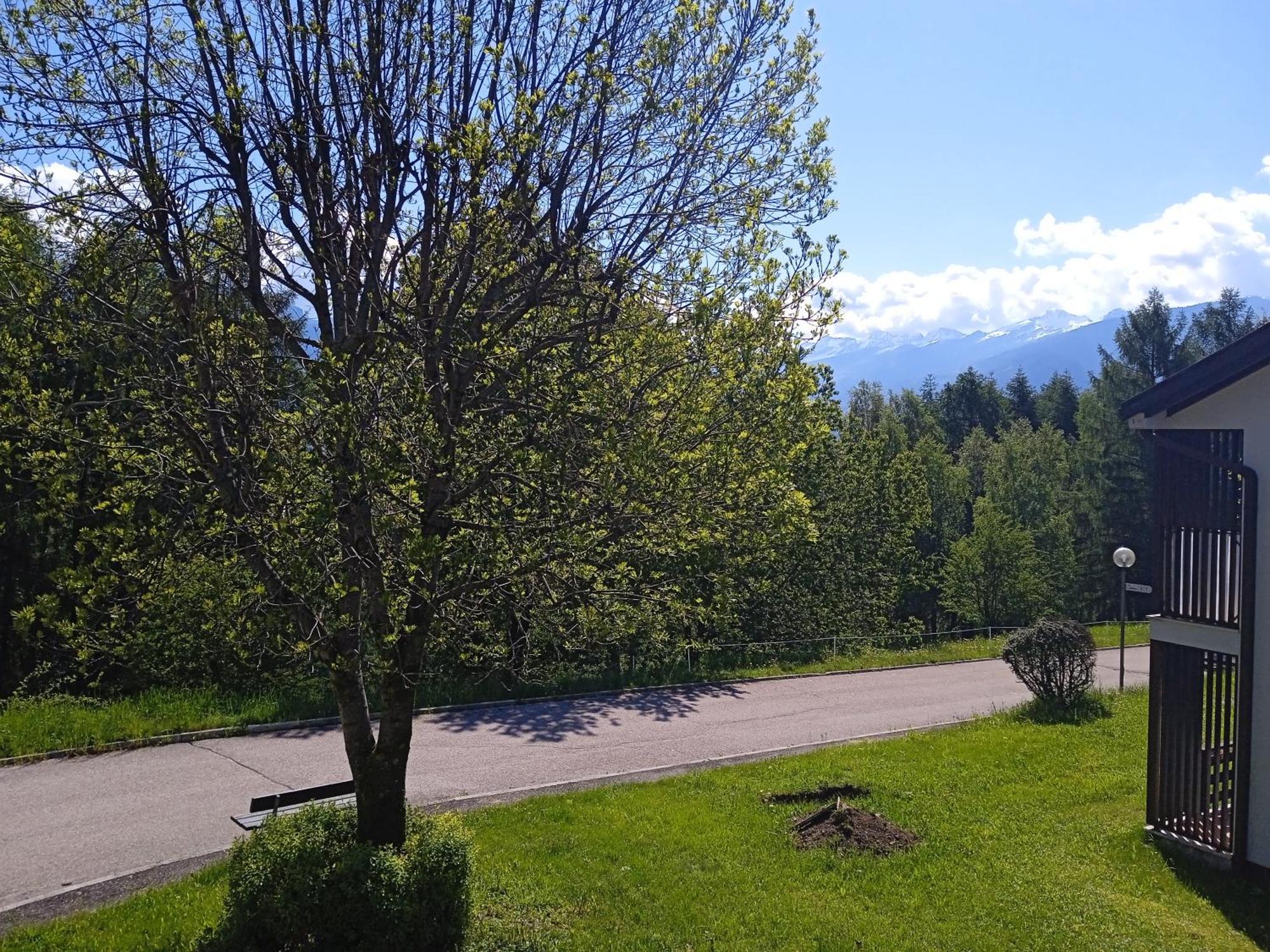 Appartamento Tiziana Val Di Fiemme Carano (Trentino) Exterior foto