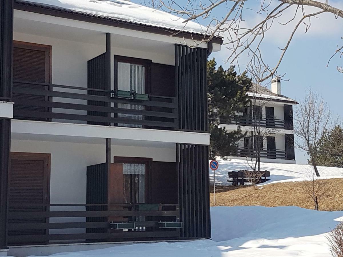 Appartamento Tiziana Val Di Fiemme Carano (Trentino) Exterior foto