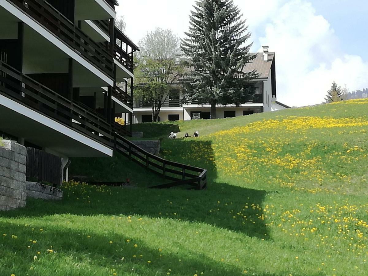 Appartamento Tiziana Val Di Fiemme Carano (Trentino) Exterior foto